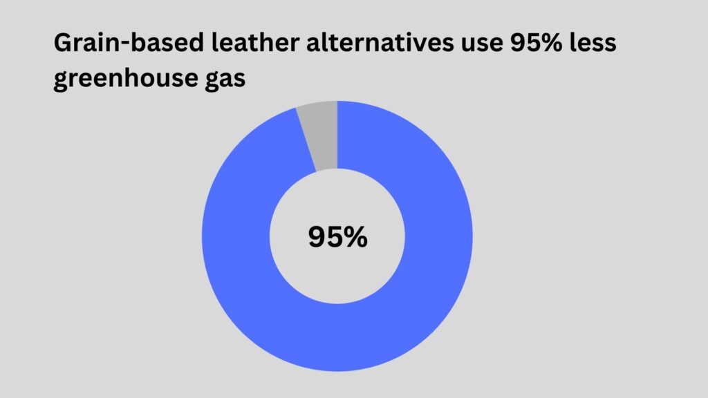 leather alternatives environment effect